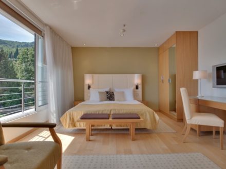 Astoria Opatija gay friendly
