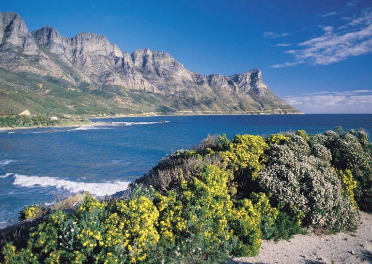 schwul Südafrika
