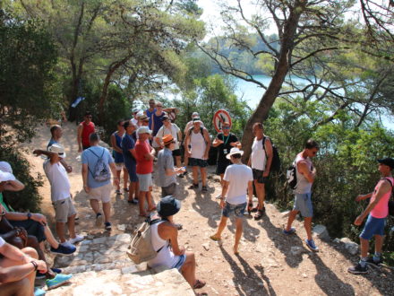 Yacht schwule Kreuzfahrt Kroatien Mljet