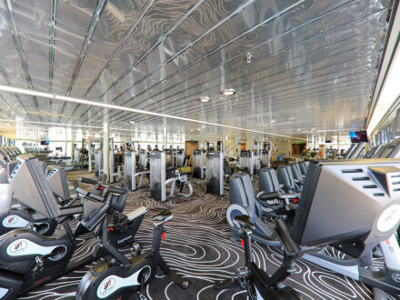 Vasco da Gama Gym gay cruise