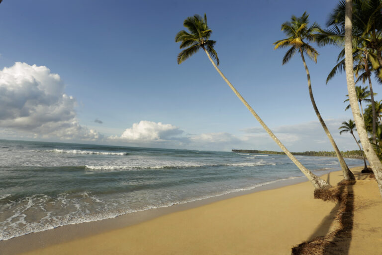Strand Wyndham Samana gay friendly Hotel Dom Rep