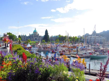 Victoria Alaska gay cruise schwule Kreuzfahrt