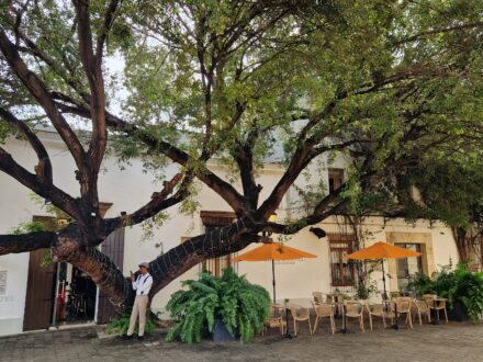 Billini Hotel Santo Domingo Terrasse
