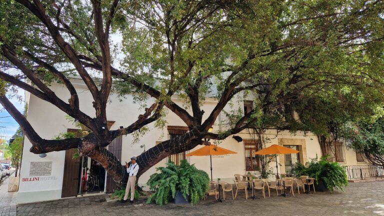 Billini Hotel Santo Domingo Terrasse