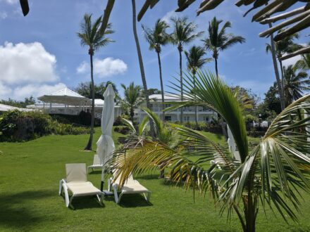 Todoblanco Hotel gay friendly Garten