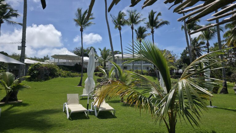 Todoblanco Hotel gay friendly Garten