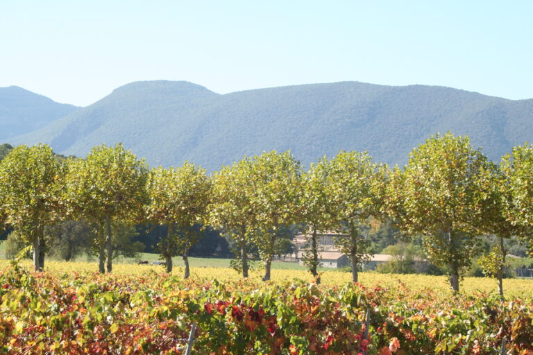 Mietwagenrundreise gay Spanien Navarra Wein und Obstbäume