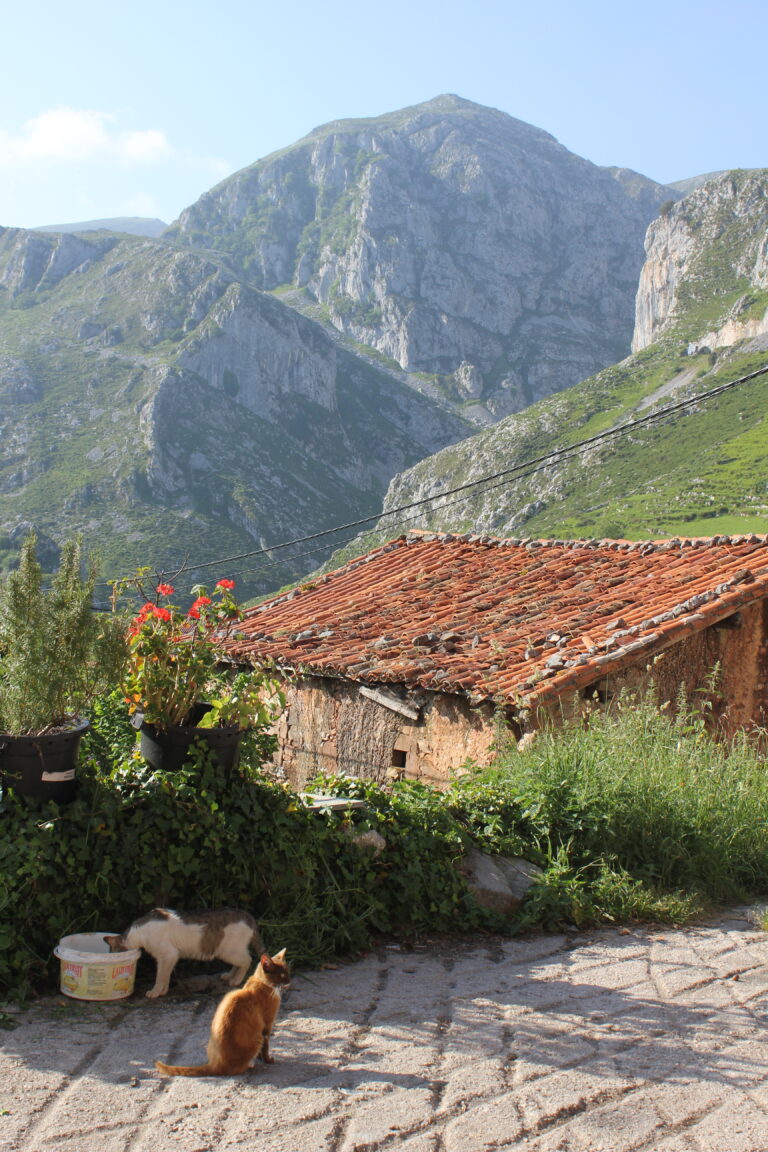 Kantabrien Spanien Mietwagenrundreise gay Dorf